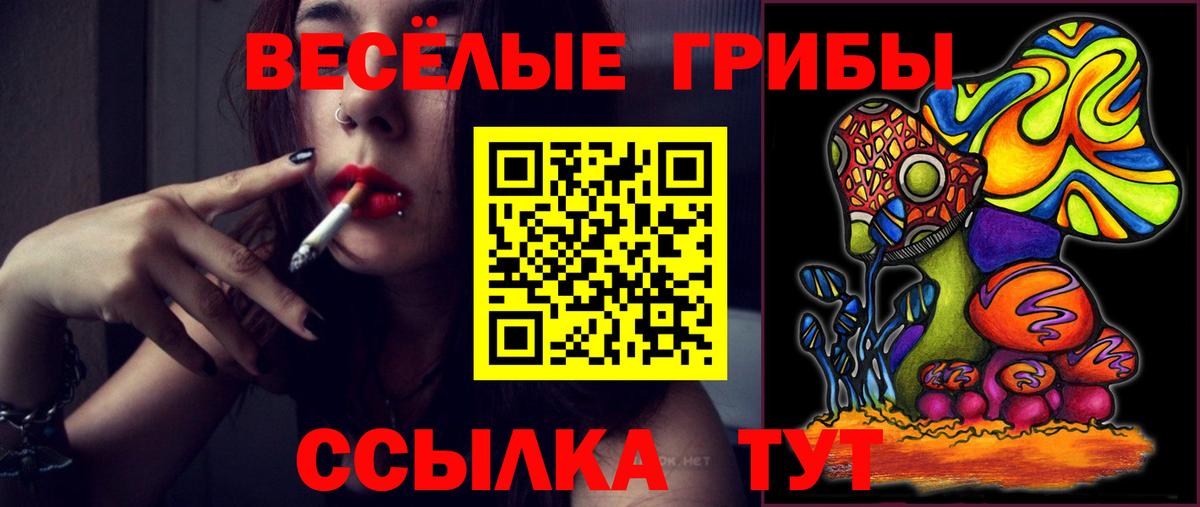 Галлюциногенные грибы Psilocybe Дербент